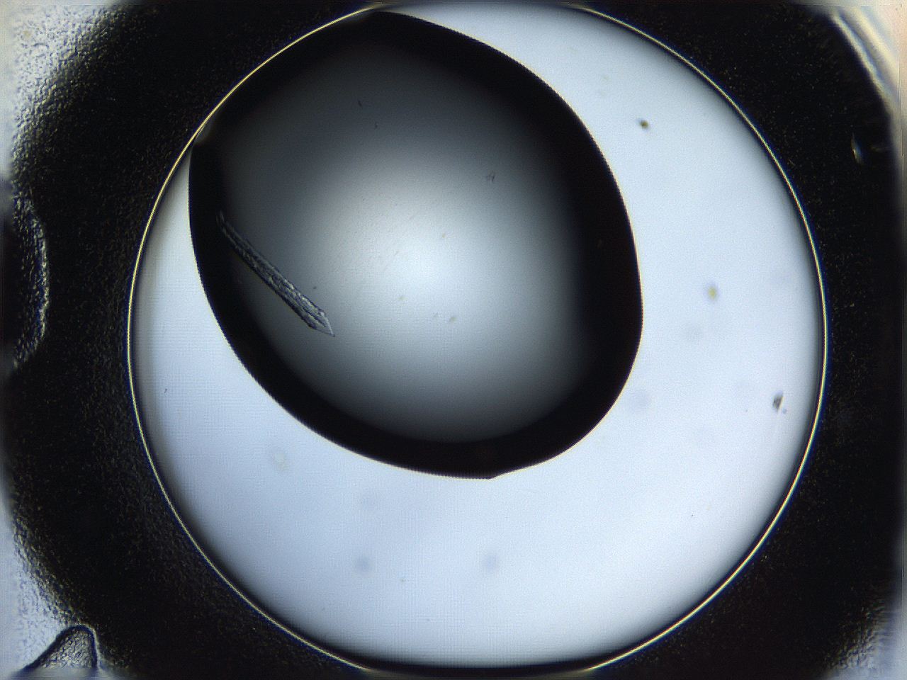 05q9_D11_ImagerDefaults_8.jpg