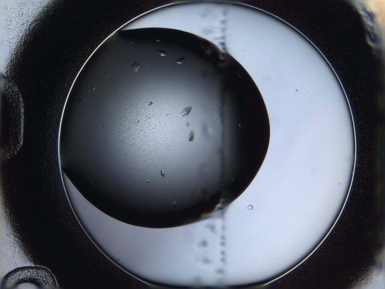 05q9_D12_ImagerDefaults_8.jpg