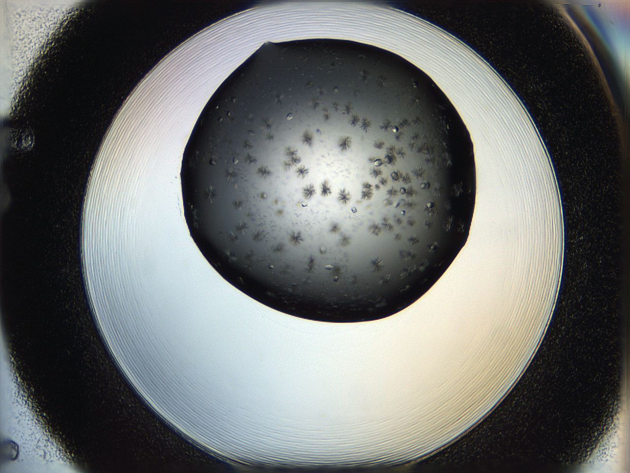 05q9_F5_ImagerDefaults_7.jpg