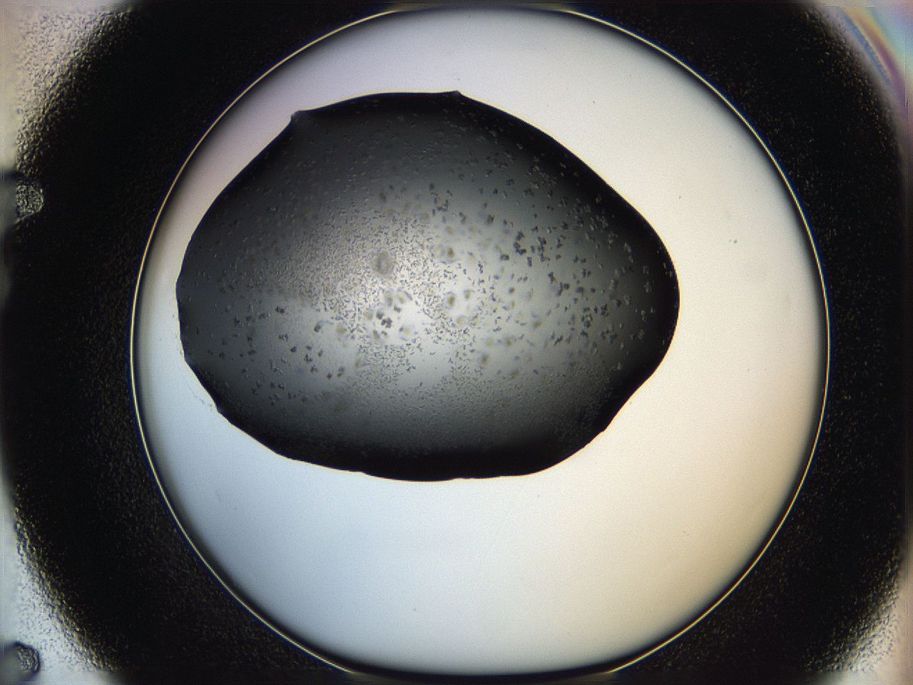 05q9_F7_ImagerDefaults_6.jpg