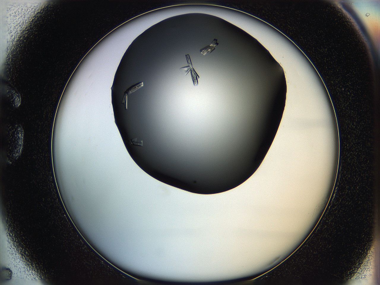 05q9_G5_ImagerDefaults_8.jpg