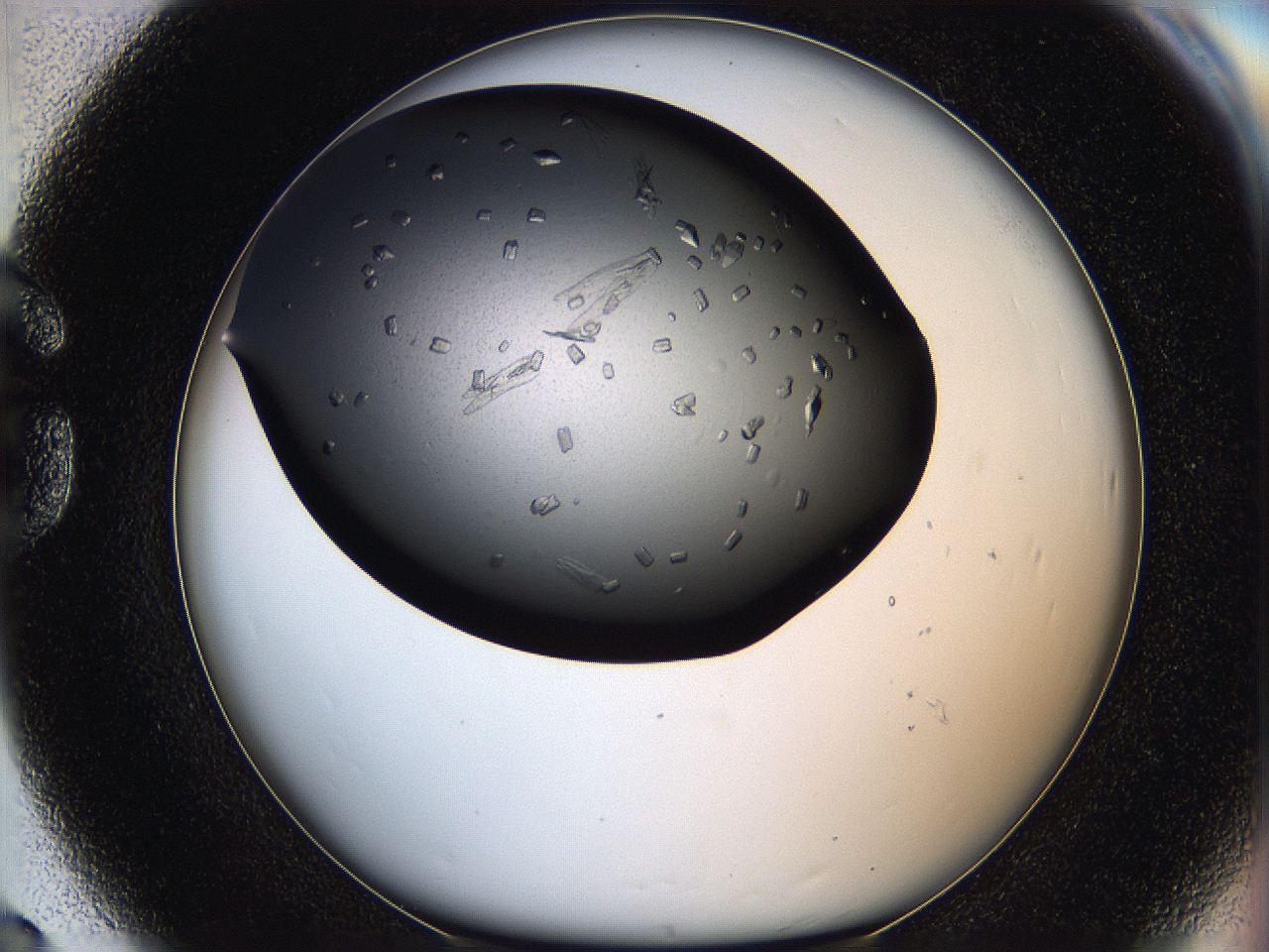 05q9_G8_ImagerDefaults_7.jpg