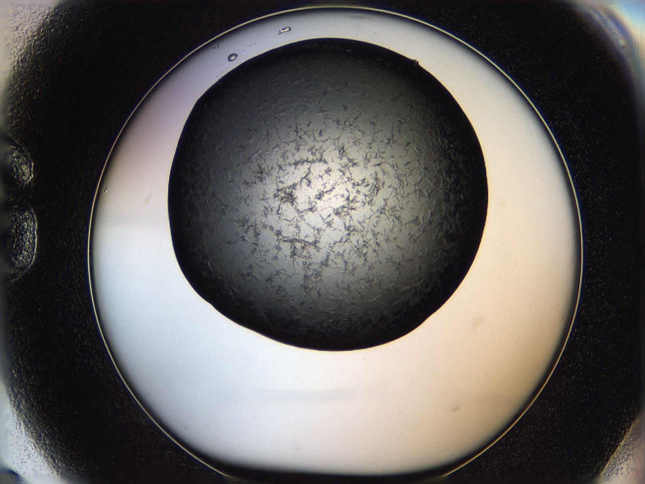 05q9_G9_ImagerDefaults_6.jpg