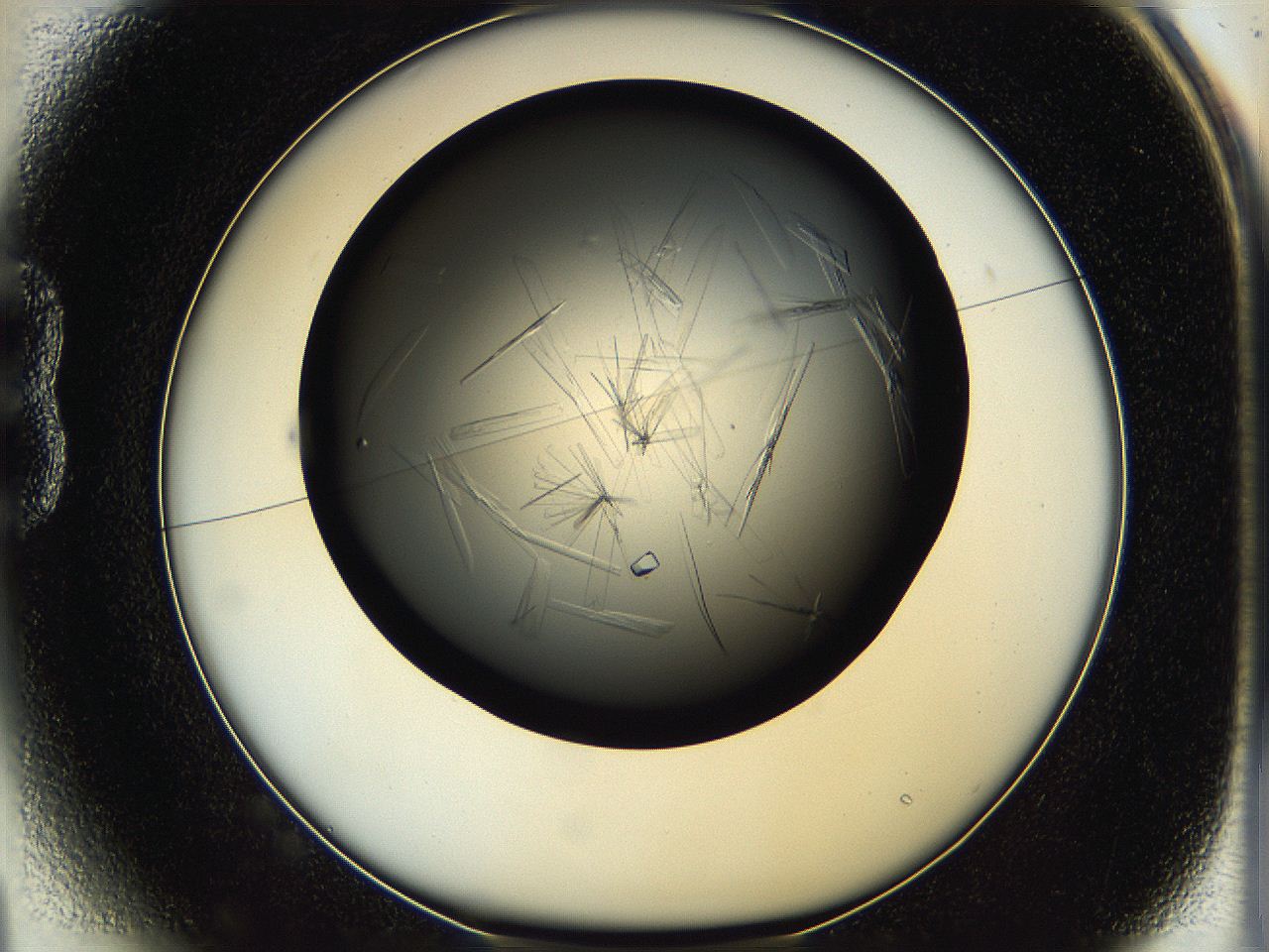 05qa_B1_ImagerDefaults_8.jpg
