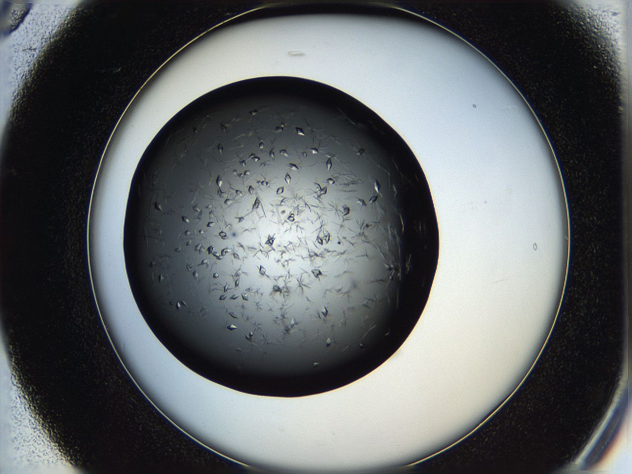 05qa_B5_ImagerDefaults_8.jpg