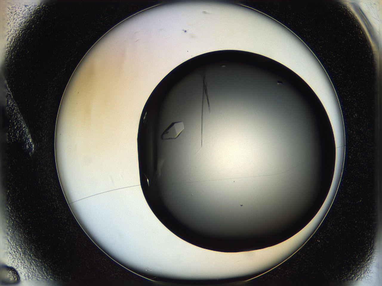 05qa_A6_ImagerDefaults_9.jpg