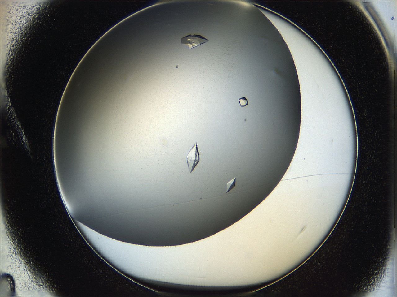 05qa_A4_ImagerDefaults_9.jpg