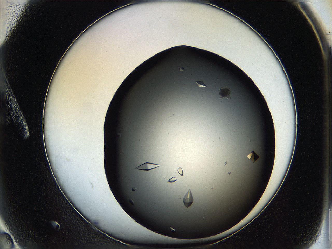05qa_A2_ImagerDefaults_9.jpg