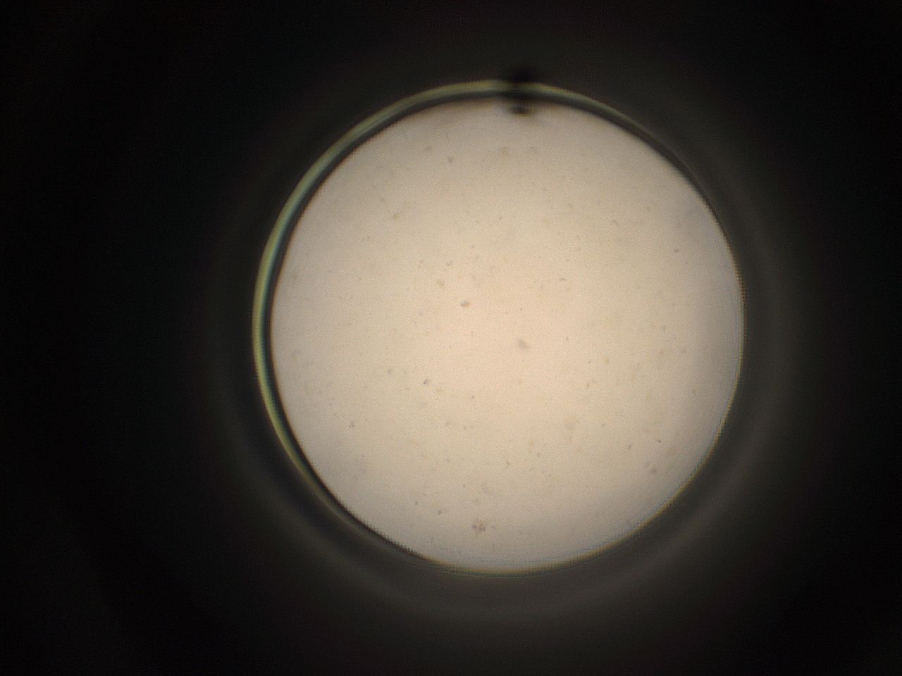 05qc_A14_ImagerDefaults_9.jpg