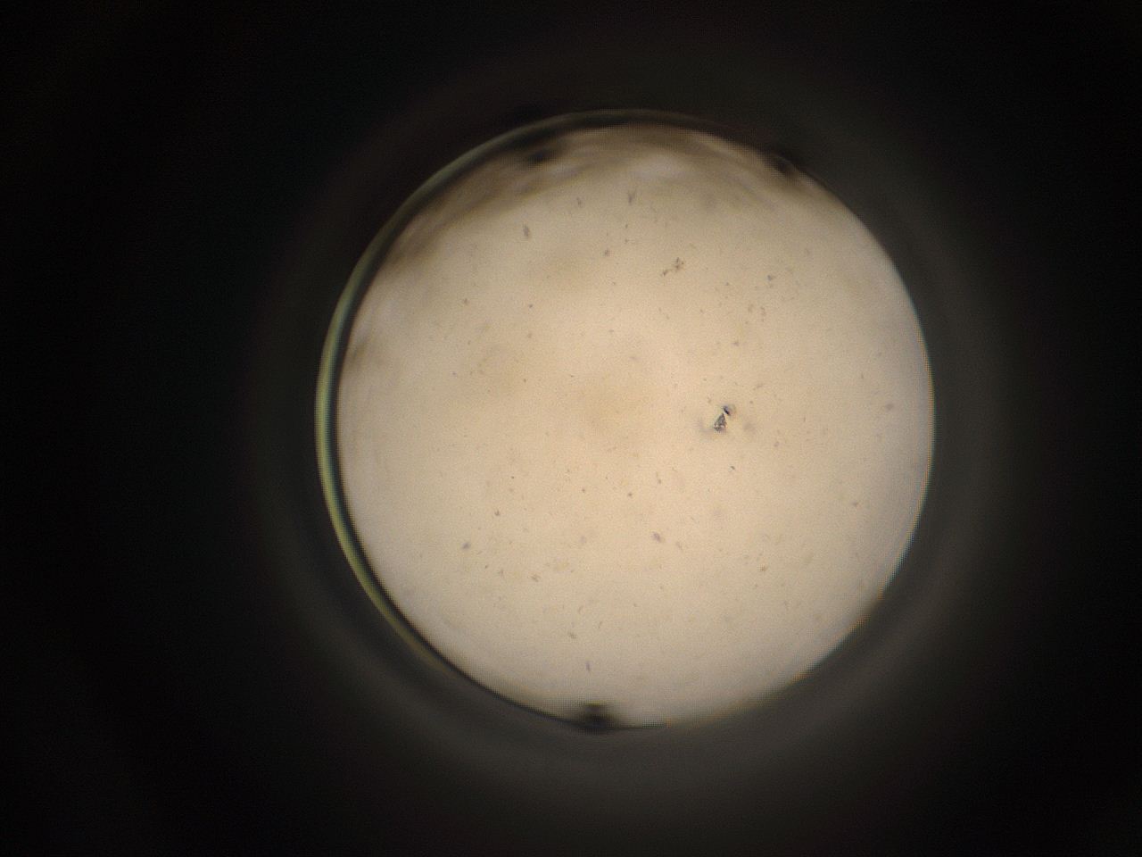 05qc_A13_ImagerDefaults_9.jpg