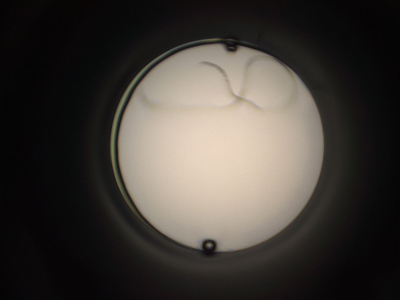 05qc_C13_ImagerDefaults_1.jpg
