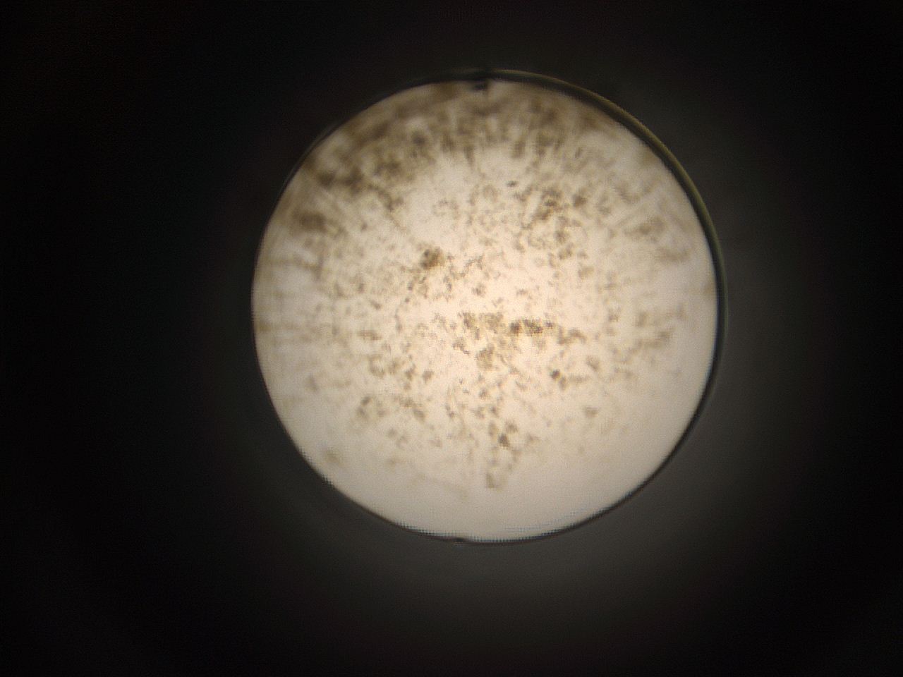 05qc_I13_ImagerDefaults_9.jpg