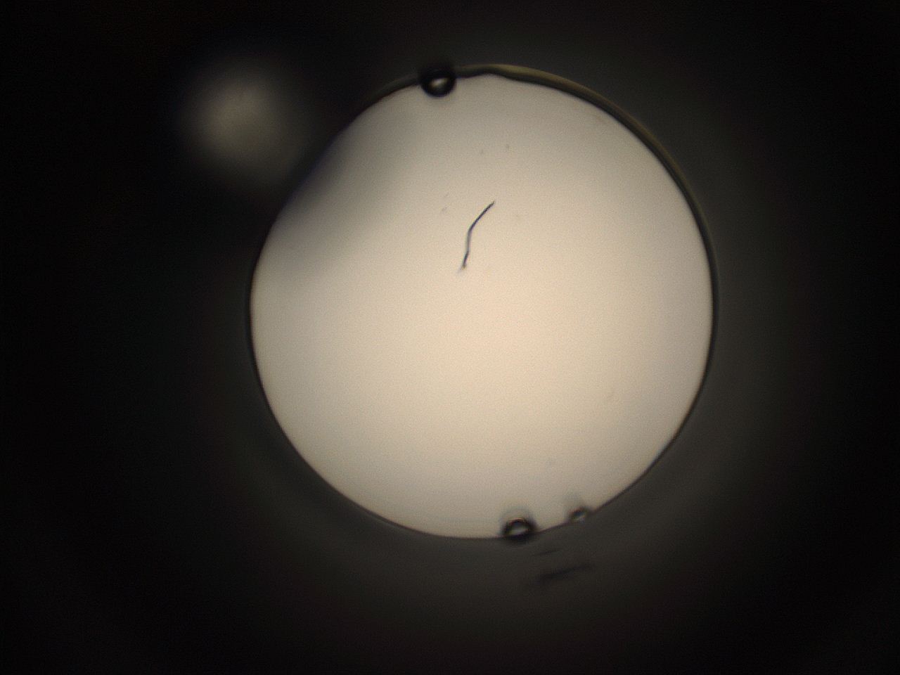 05qc_K14_ImagerDefaults_1.jpg