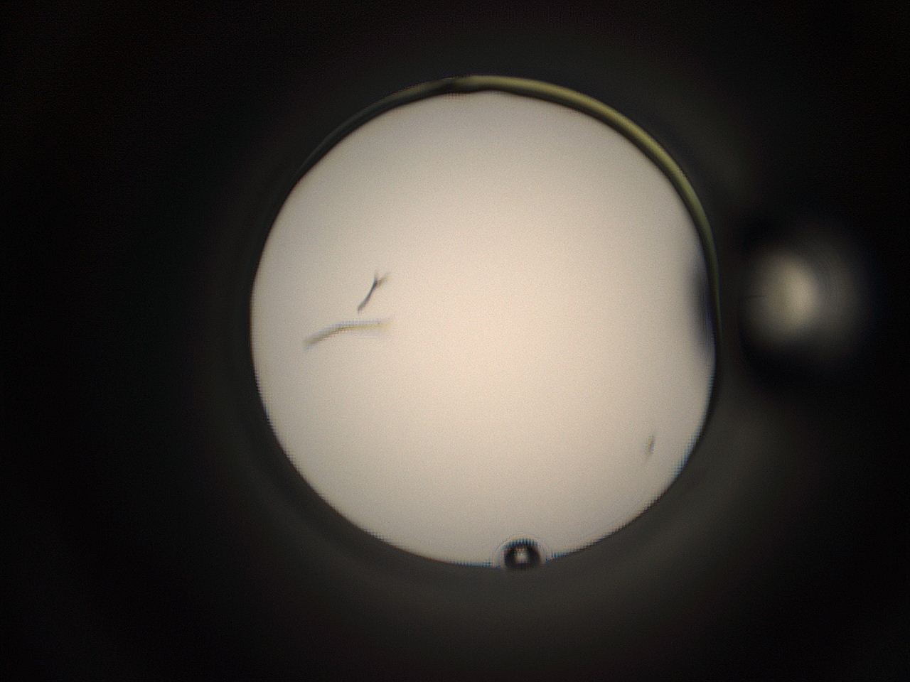 05qc_M19_ImagerDefaults_1.jpg