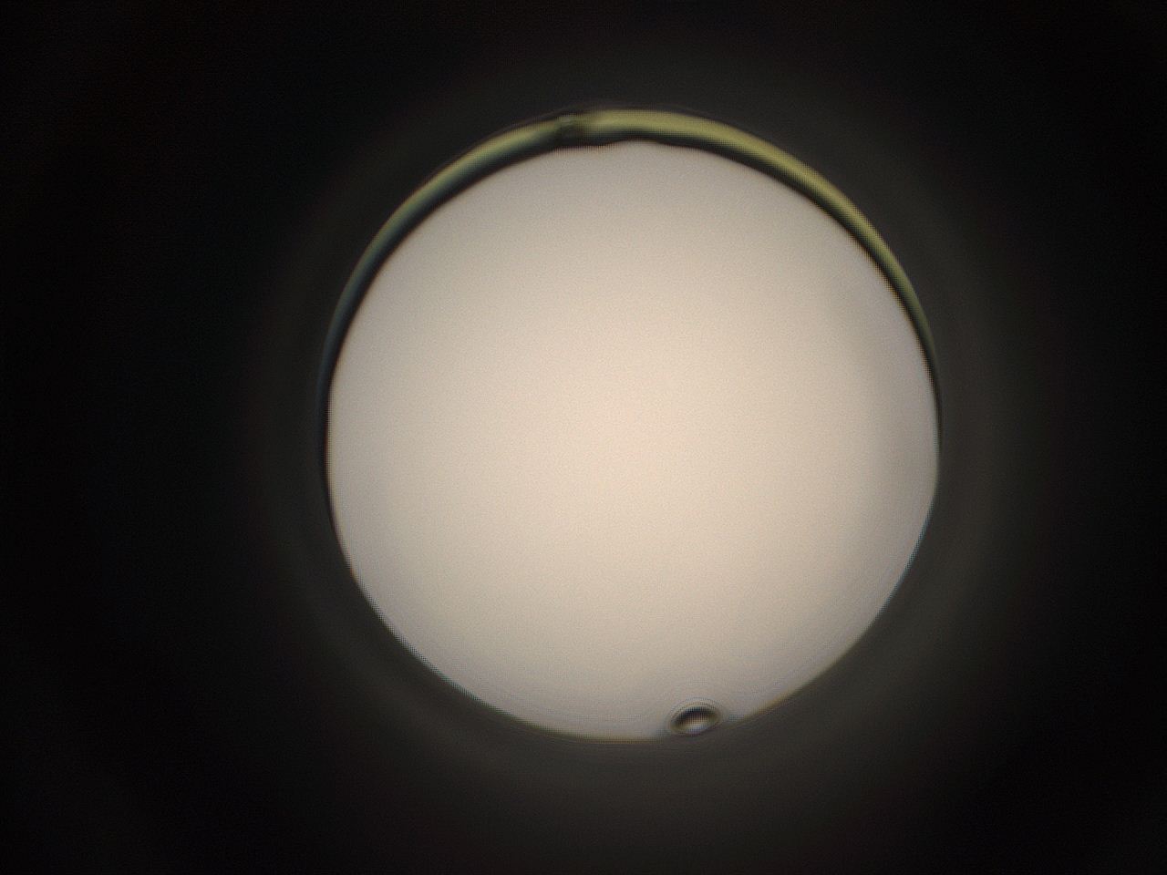 05qc_N23_ImagerDefaults_1.jpg