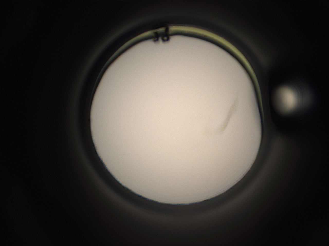 05qc_O21_ImagerDefaults_1.jpg