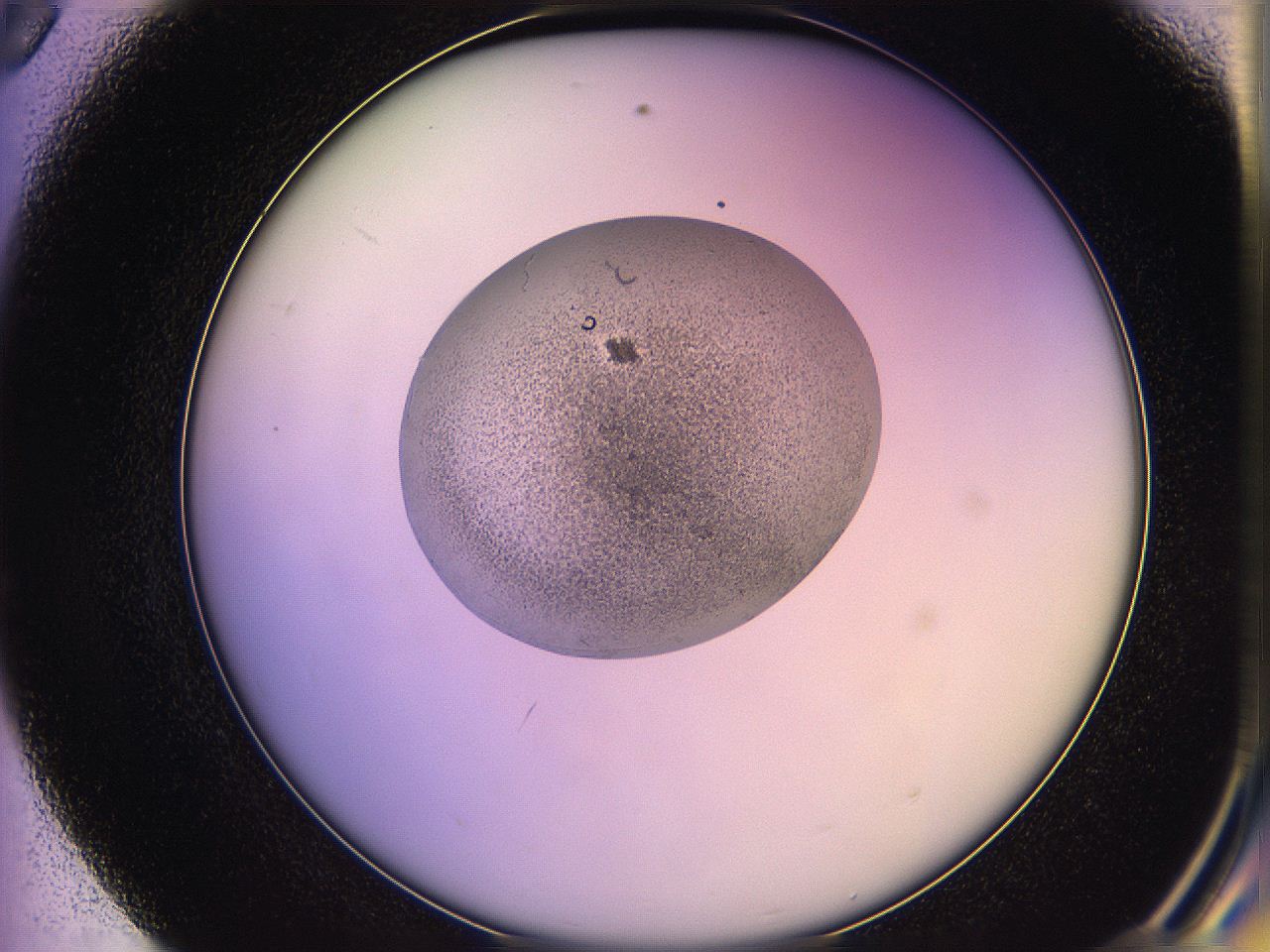 05qd_E8_ImagerDefaults_3.jpg