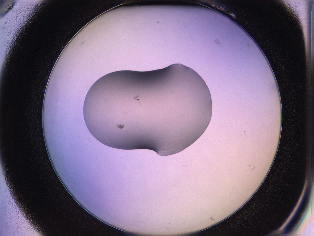 05qd_B6_ImagerDefaults_1.jpg