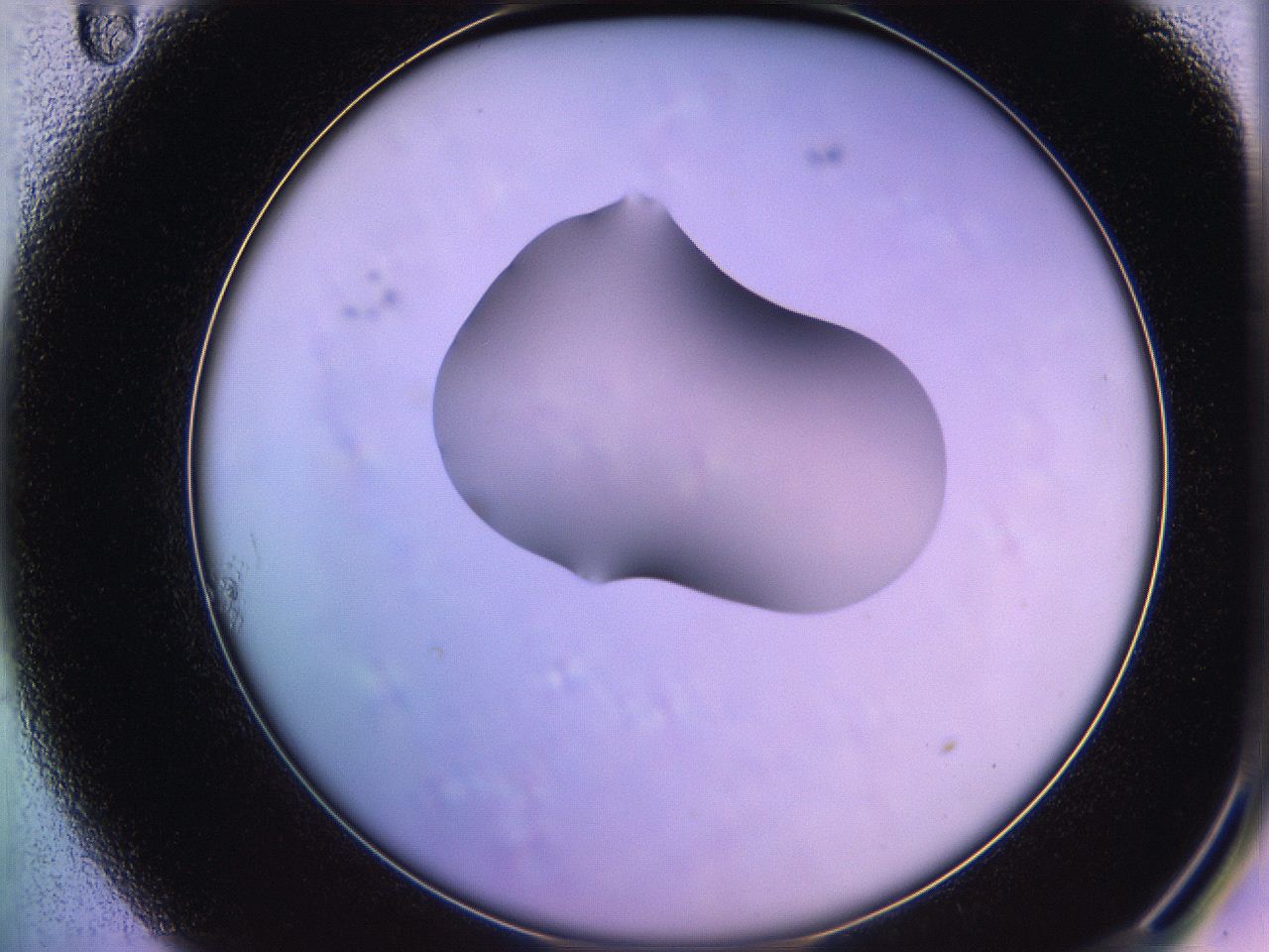 05qd_A11_ImagerDefaults_1.jpg