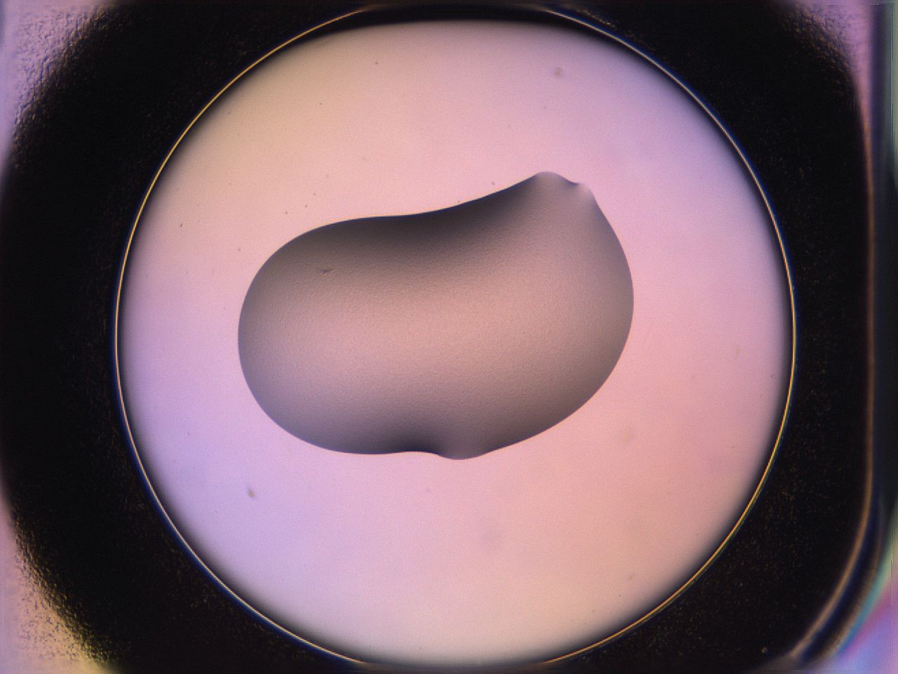 05qd_B1_ImagerDefaults_1.jpg