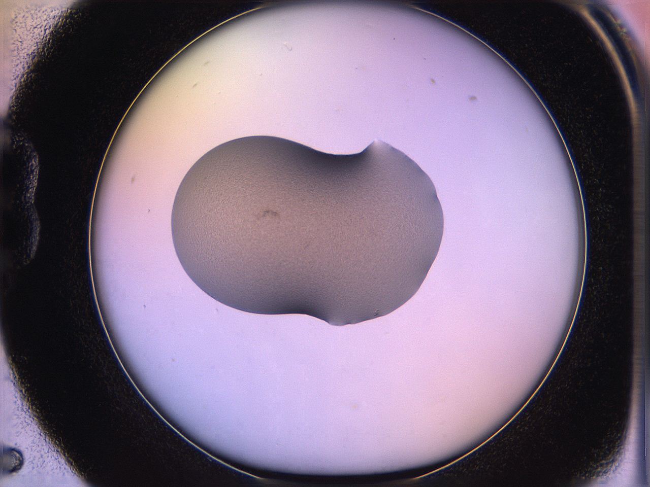 05qd_B5_ImagerDefaults_3.jpg