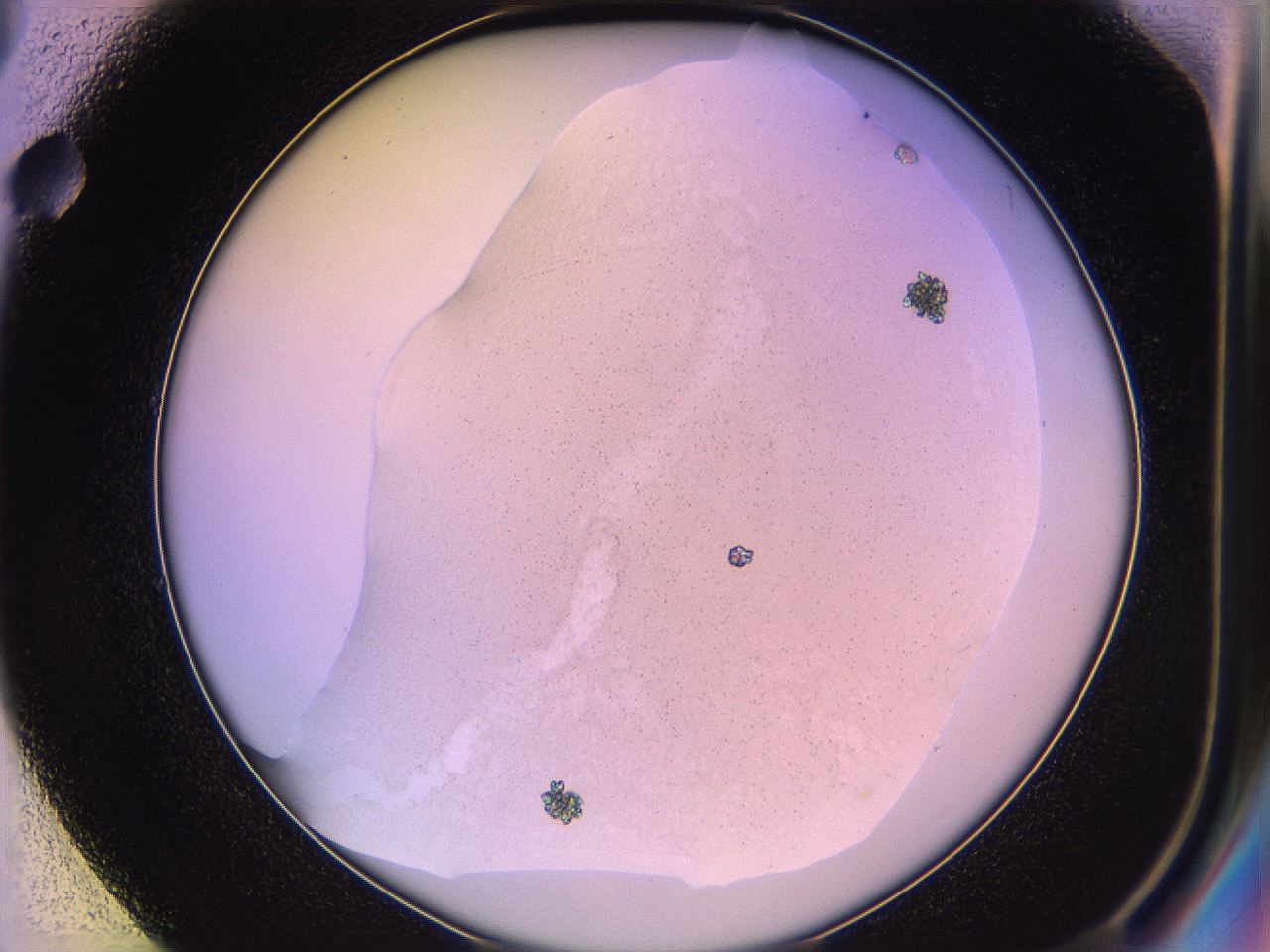 05qd_E1_ImagerDefaults_3.jpg