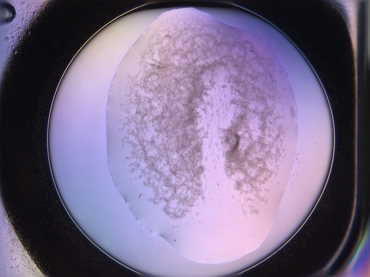 05qd_E2_ImagerDefaults_3.jpg