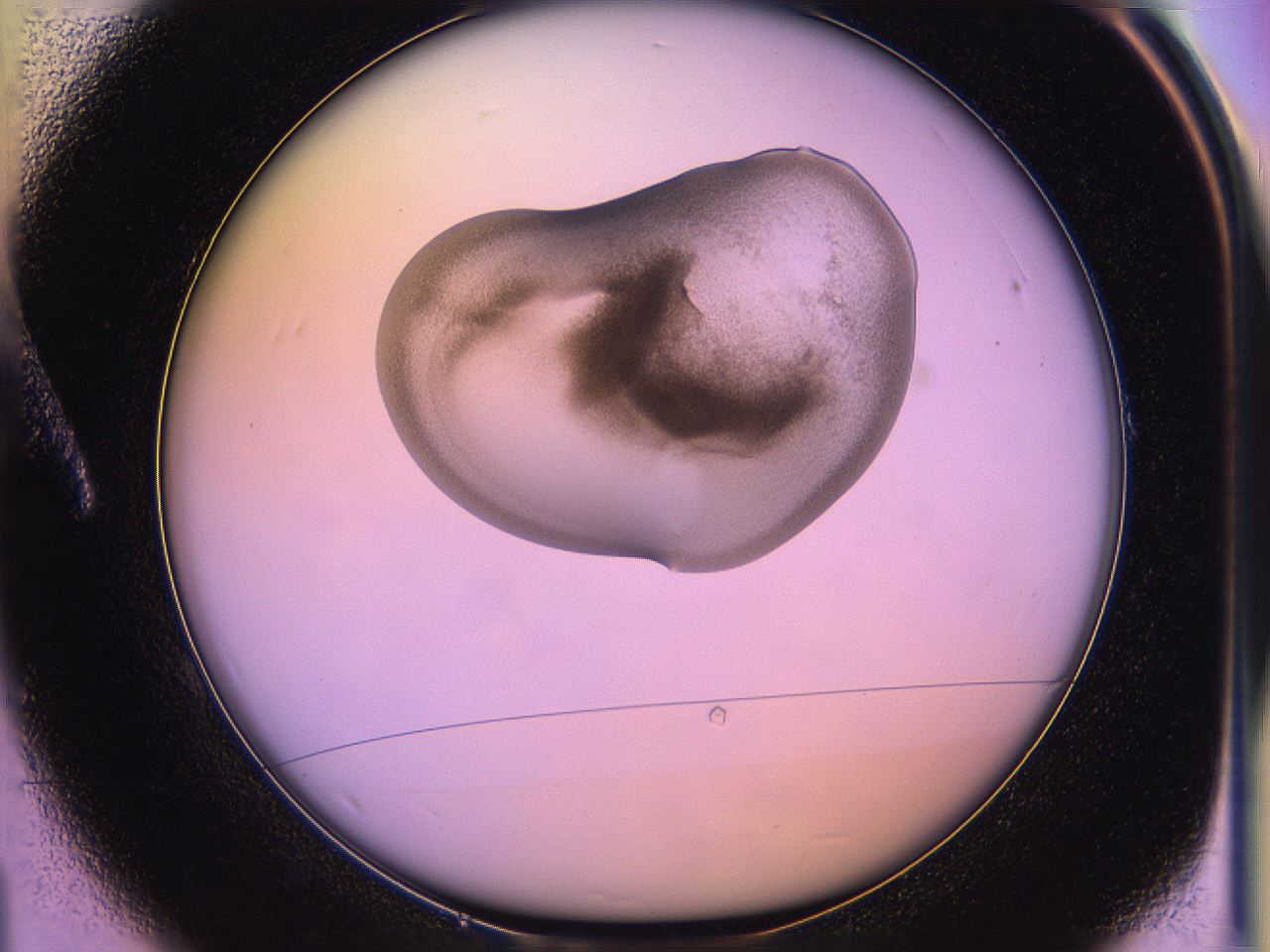 05qd_A1_ImagerDefaults_3.jpg