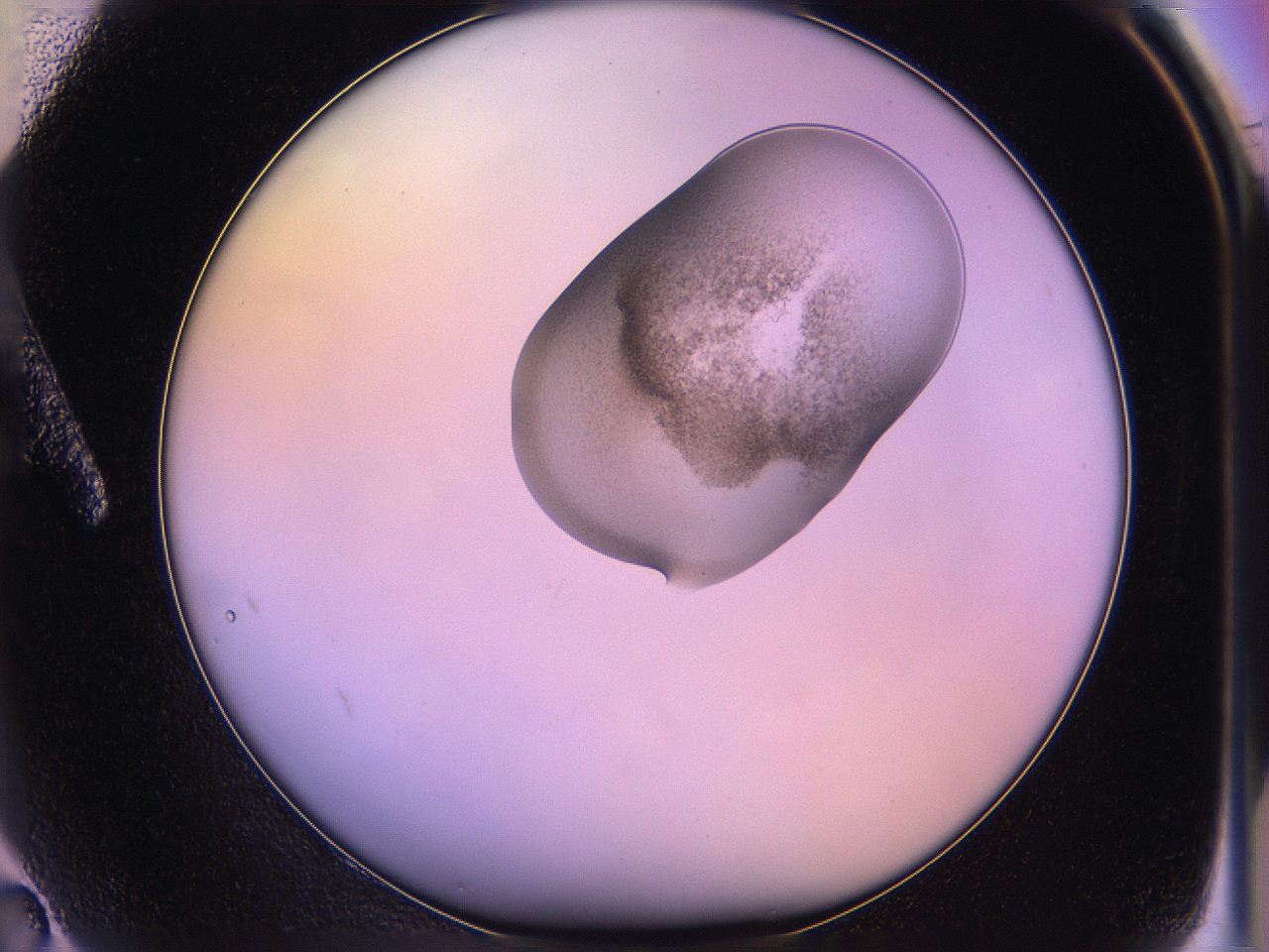 05qd_A2_ImagerDefaults_3.jpg
