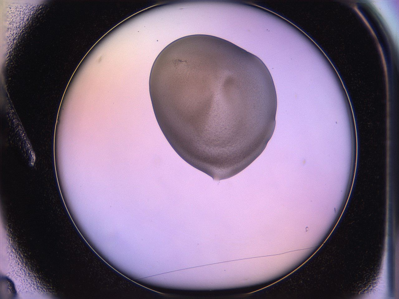 05qd_A3_ImagerDefaults_3.jpg