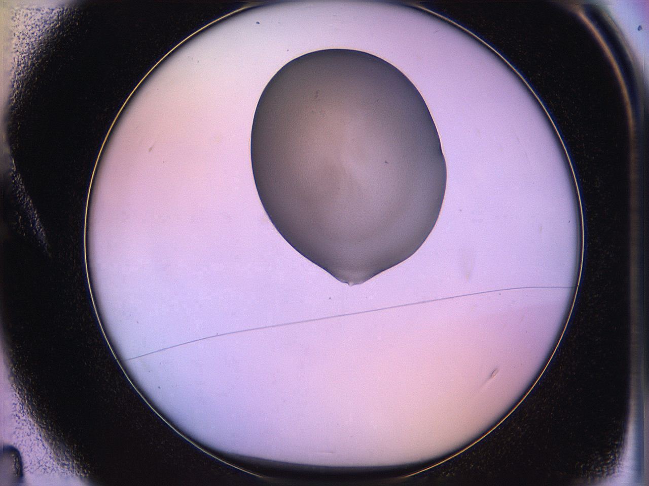 05qd_A4_ImagerDefaults_3.jpg