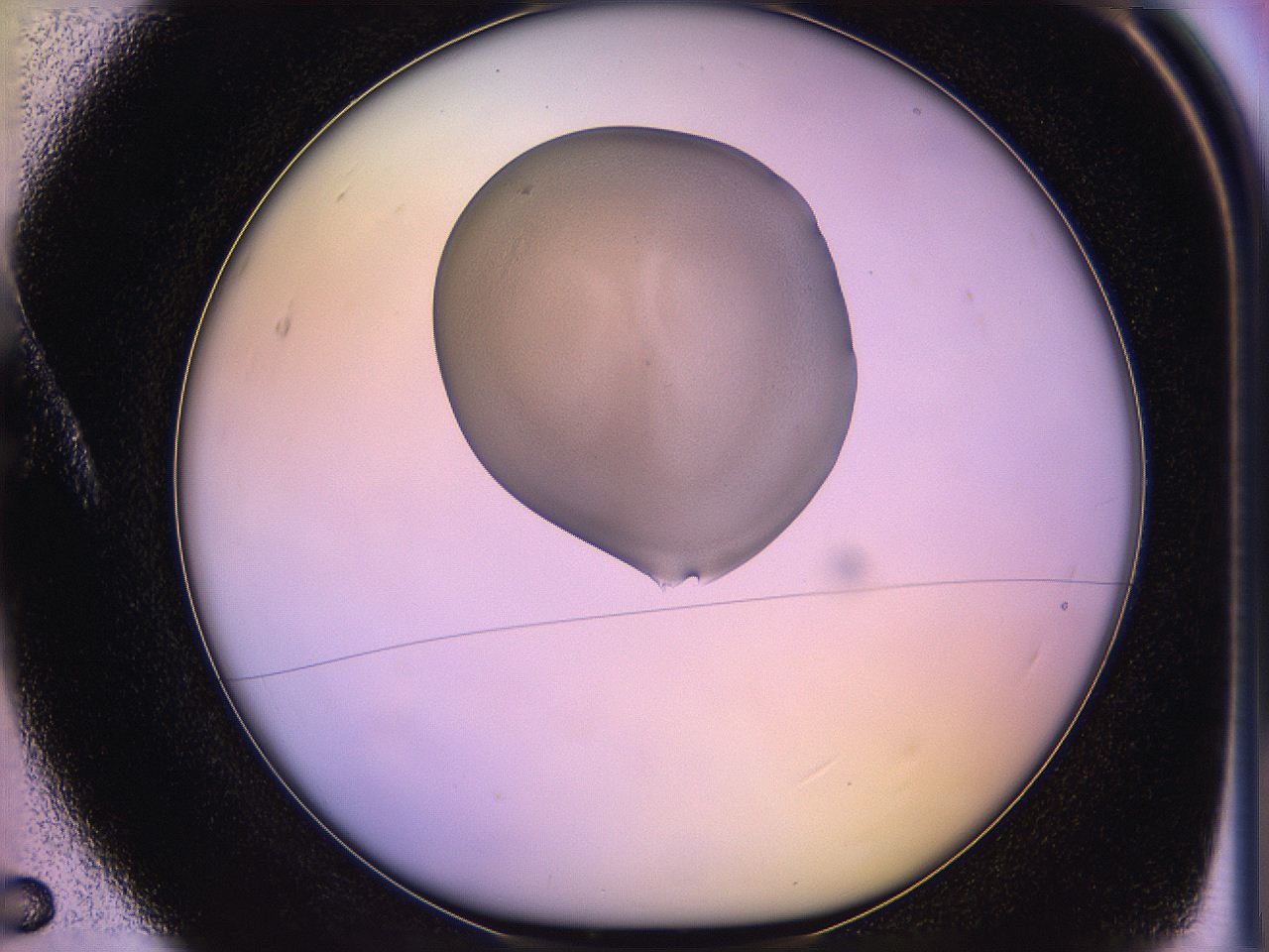05qd_A5_ImagerDefaults_3.jpg