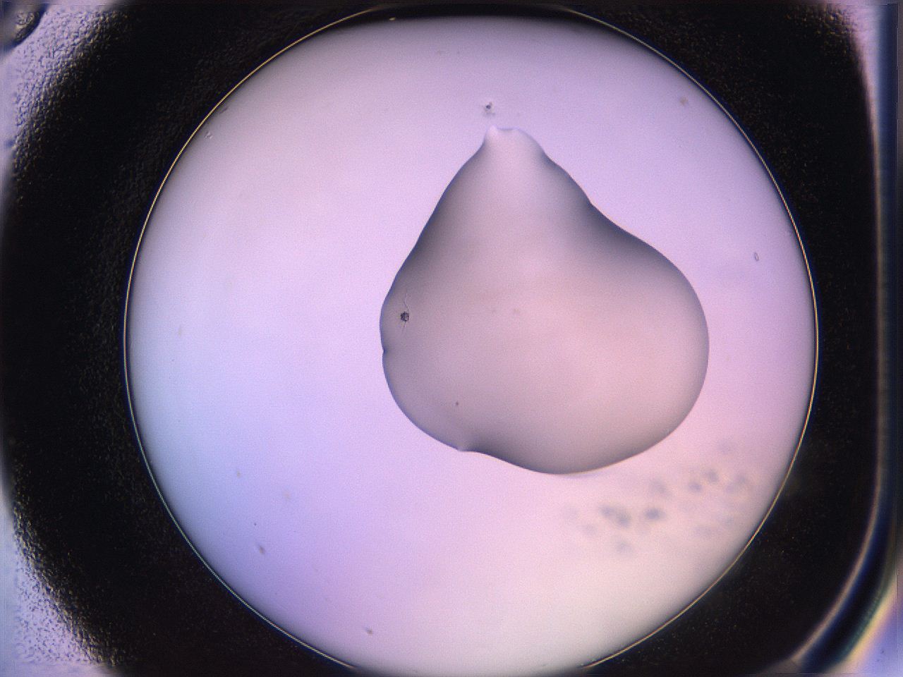 05qd_A5_ImagerDefaults_1.jpg