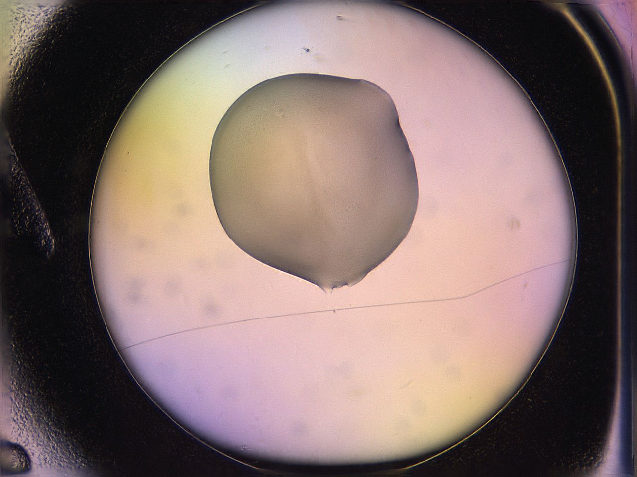 05qd_A6_ImagerDefaults_3.jpg