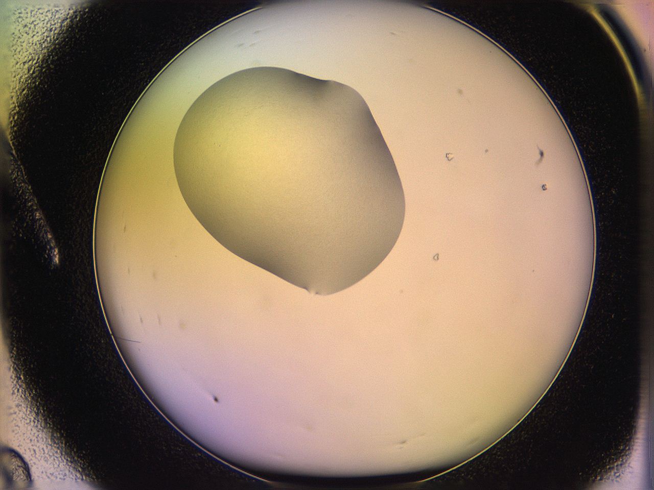 05qd_A8_ImagerDefaults_3.jpg
