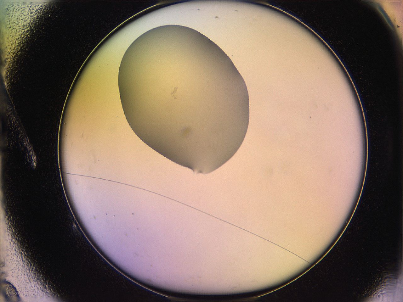 05qd_A9_ImagerDefaults_1.jpg