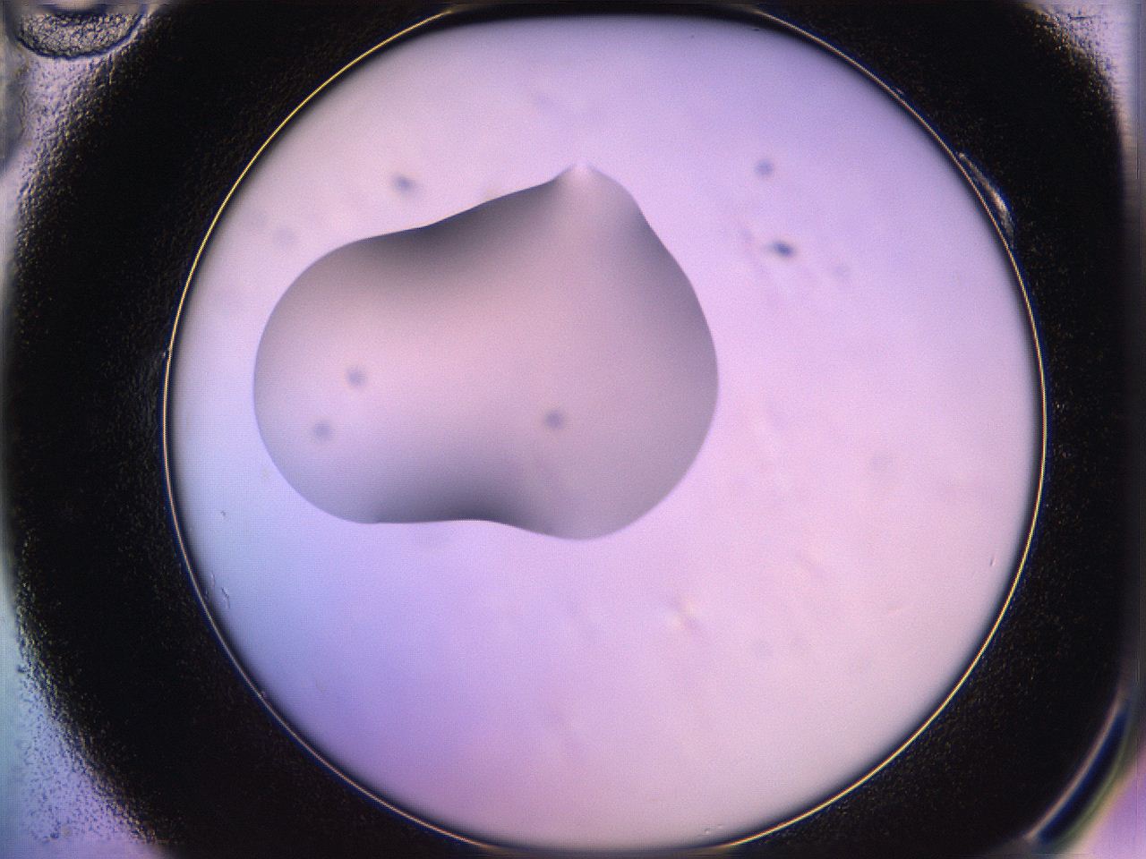 05qd_A10_ImagerDefaults_1.jpg