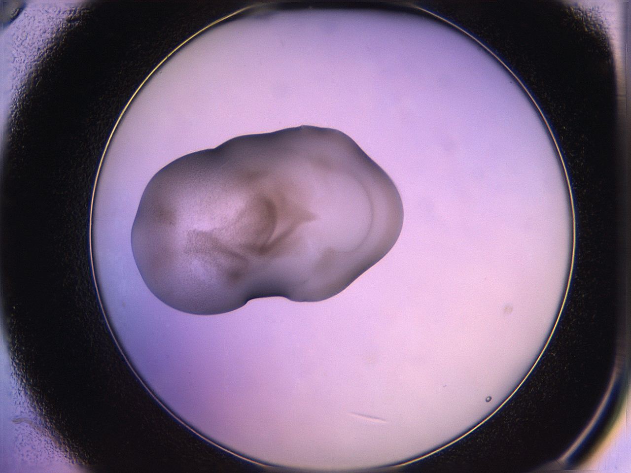 05qd_B9_ImagerDefaults_3.jpg