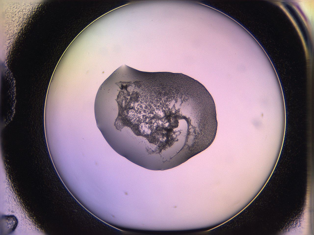 05qd_D7_ImagerDefaults_3.jpg