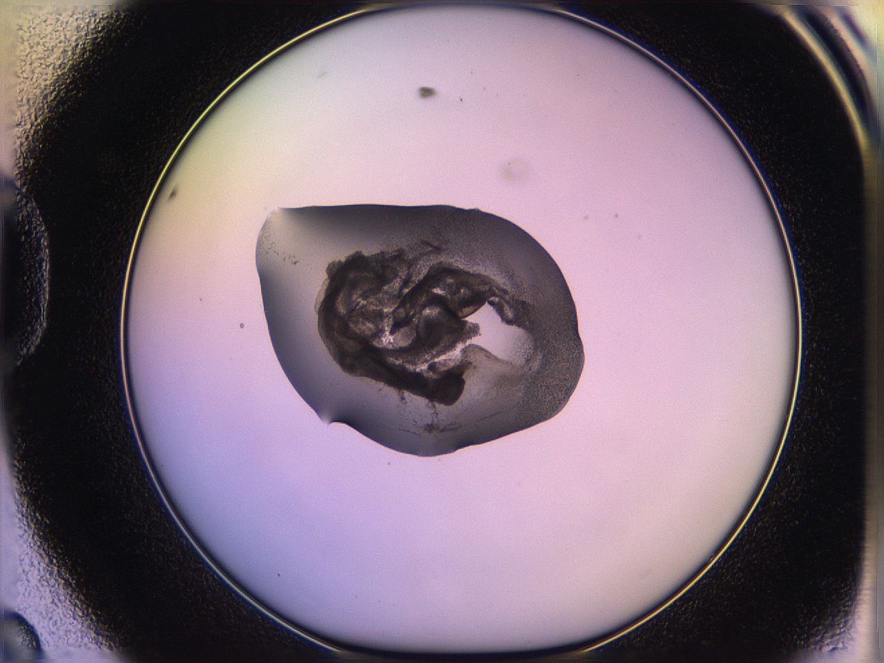 05qd_D8_ImagerDefaults_3.jpg