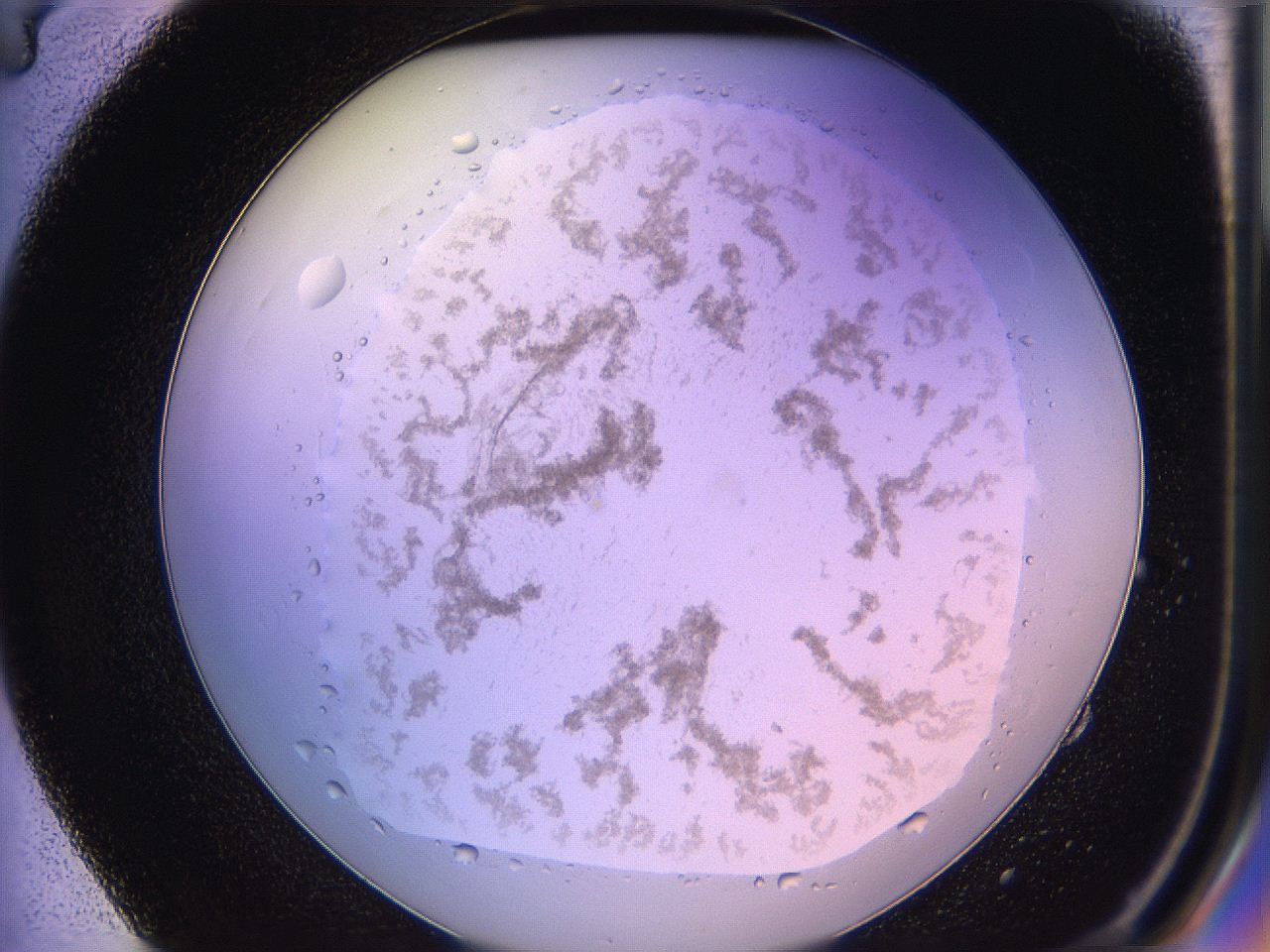 05qd_E4_ImagerDefaults_3.jpg