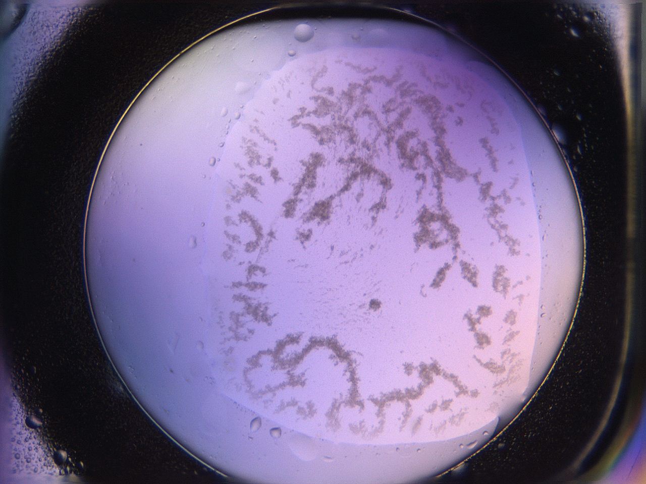 05qd_E5_ImagerDefaults_3.jpg
