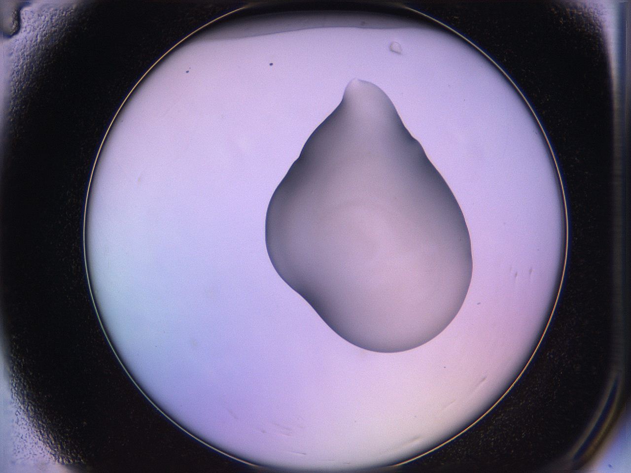 05qd_A4_ImagerDefaults_1.jpg