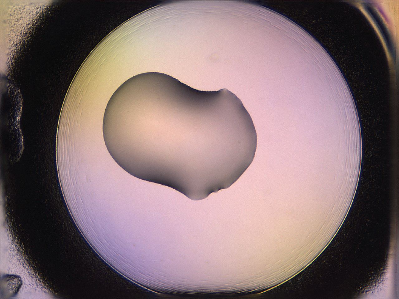 05qd_B7_ImagerDefaults_1.jpg
