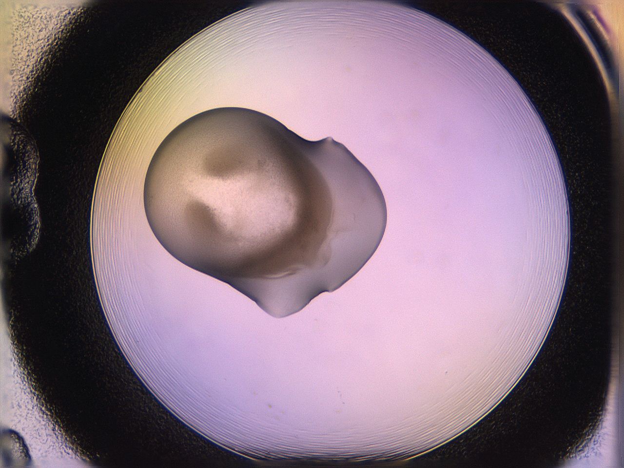 05qd_B8_ImagerDefaults_3.jpg