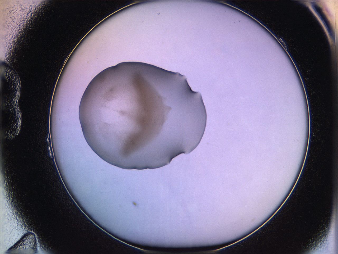 05qd_B11_ImagerDefaults_3.jpg