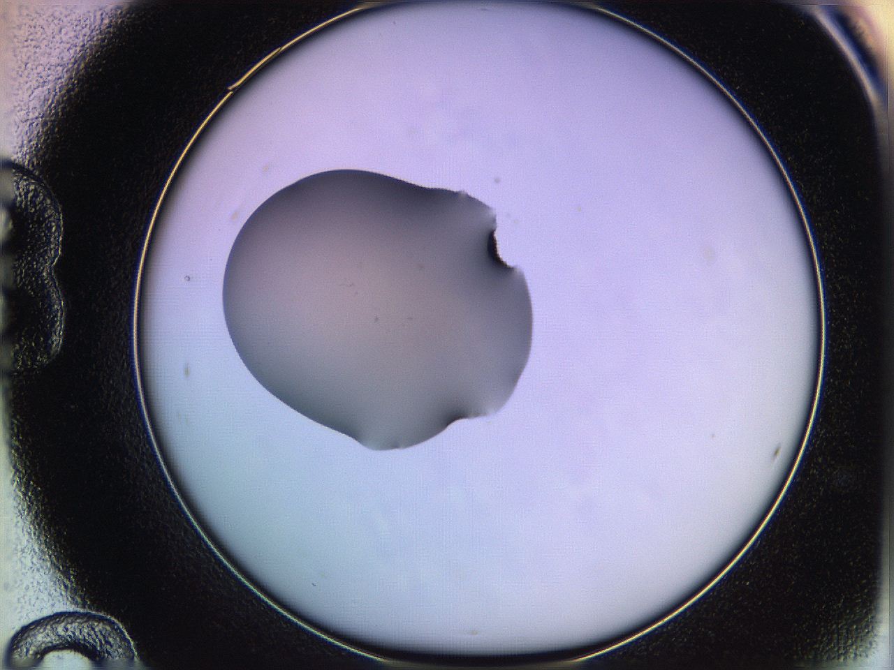 05qd_B12_ImagerDefaults_3.jpg
