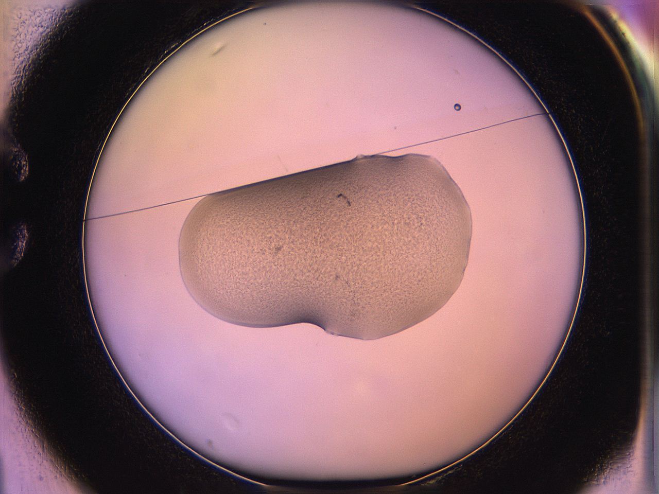 05qd_C1_ImagerDefaults_3.jpg