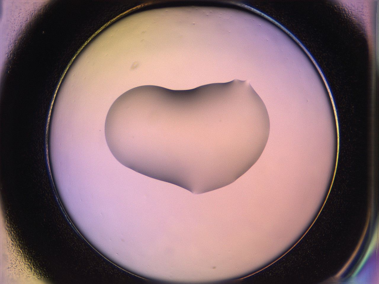 05qd_C1_ImagerDefaults_1.jpg