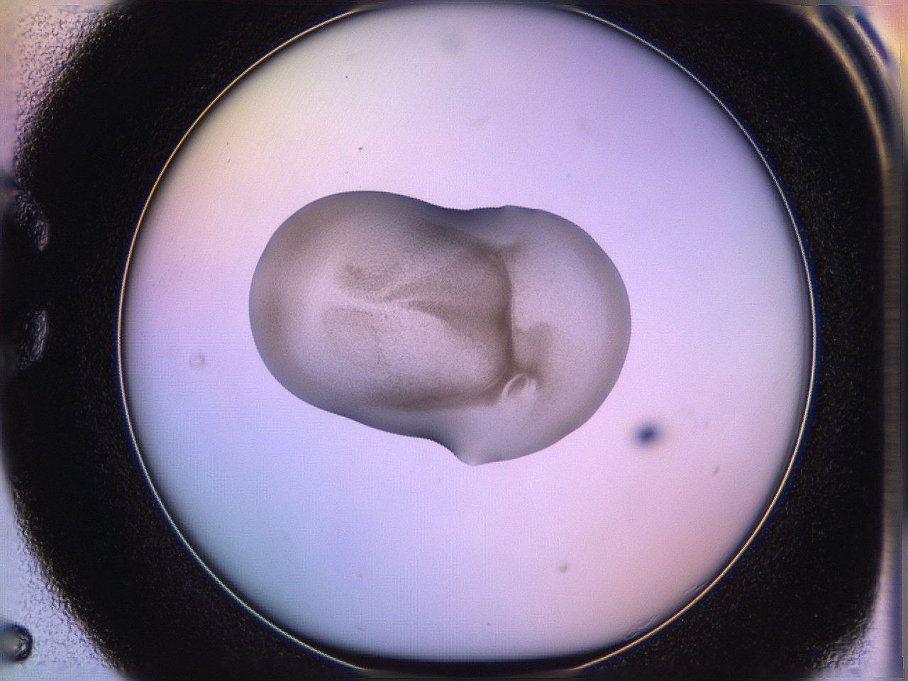 05qd_C5_ImagerDefaults_3.jpg